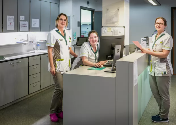 inwendig en geriatrisch dagziekenhuis team oncologie 